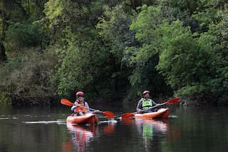 Uno de los tesoros más salvajes y naturales de Misiones