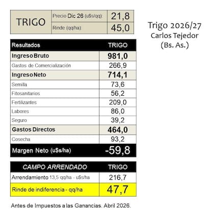 Margen de trigo en Carlos Tejedor