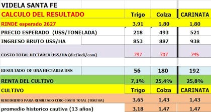 Margen del trigo en Videla