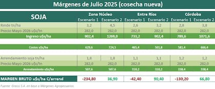Márgenes proyectados a julio para la soja