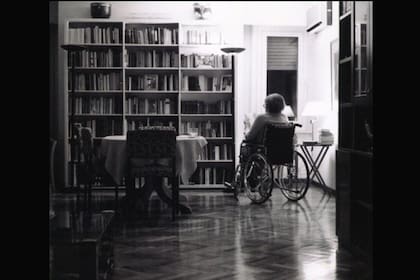 María Elena Walsh lee junto a su biblioteca; una de las últimas fotografías que le tomó Sara Facio, en 2010