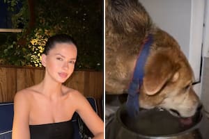 María Eugenia Suárez recibió una triste noticia antes de viajar a Estambul (Foto: Instagram @sangrejaponesa)