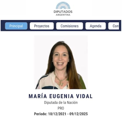 María Eugenia Vidal adjunto una foto en su posteo de LinkedIn para mostrar su recorrido como Diputada de la Nación (LinkedIn: María Eugenia Vidal)
