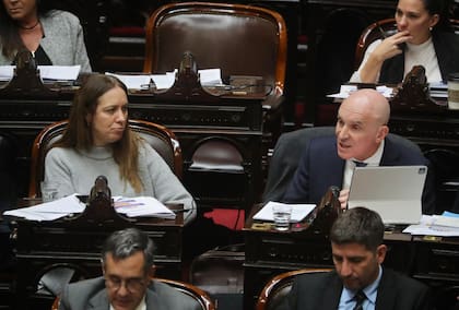María Eugenia Vidal y José Luis Espert, en el recinto de la Cámara de Diputados