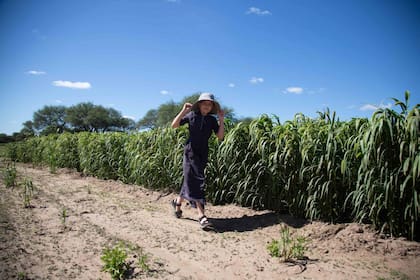 María Friesen, de 11 años, corre entre la moha.