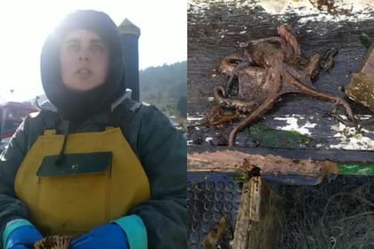 María Maceiras es un ídolo en TikTok, con unos videos grabados mientras faena en el barco y con los que genera conciencia sobre el cuidado de los recursos marinos