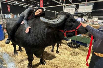 María Nilda Silva, una experta criadora de búfalos de General Paz, Corrientes