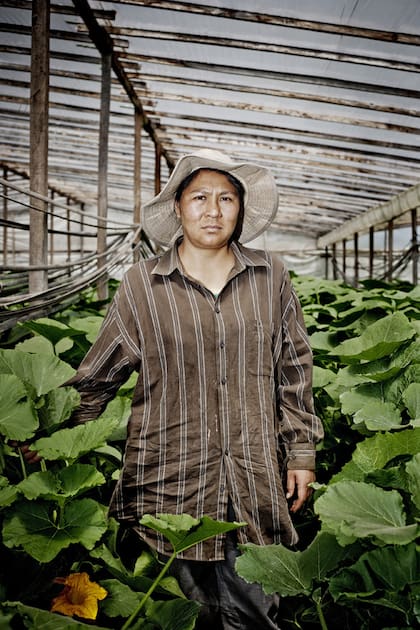 María Teresa Choque, quintera de La Plata.