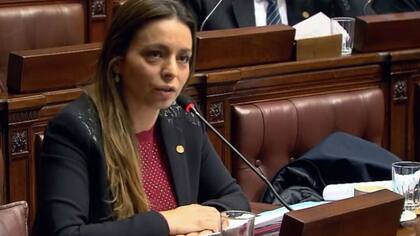 La legisladora del Parlasur por Cambiemos, Mariana Zuvic