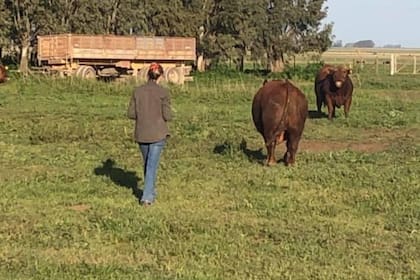 Mariana Guisilieri en su campo de Coronel Suárez
