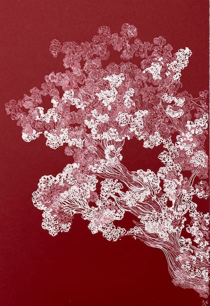 Mariana Jasper 1 Serie Ojalá