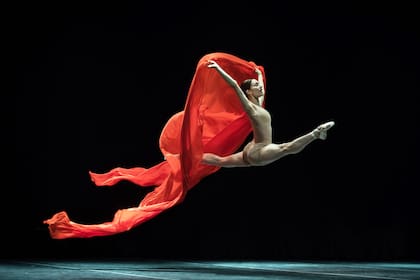 Marianela Nuñez redactó el mensaje para los argentinos a pedido del Consejo Argentino de la Danza