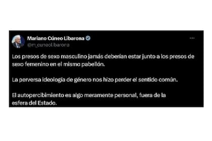 Mariano Cúneo Libarona: “Los presos de sexo masculino jamás deberían estar junto a los presos de sexo femenino”