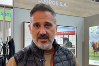 Un exportador argentino explica cómo es vender carne a Estados Unidos y se entusiasma con un anuncio de Trump