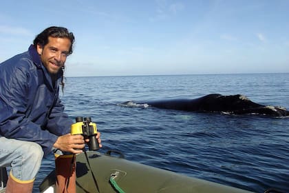 Mariano Sironi es Doctor en Biología, director científico y socio fundador del Instituto de Conservación de Ballenas (ICB) desde el año 1996