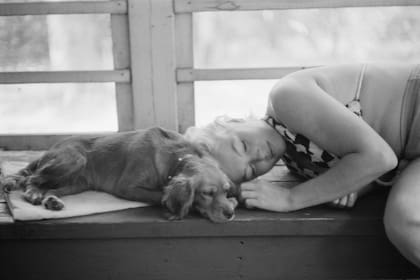 Marilyn Monroe descansa junto a un cachorro, en el rodaje de Los inadaptados, de 1960