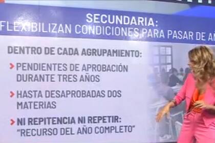 Marina Calabró analizó la nueva reforma educativa de la provincia de Buenos Aires (Captura video LN+)