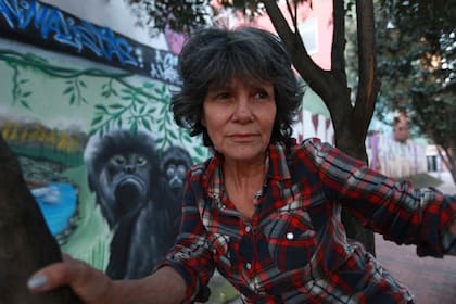 Marina Chapman asegura que vivió cinco años entre monos capuchinos en la selva colombiana