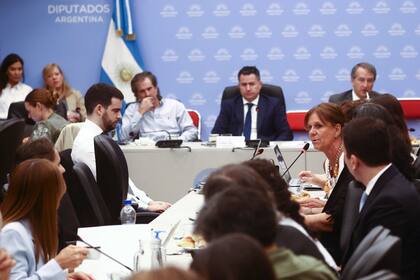 Marina Charpentier, madre de Chano, en debate de comisiones en diputados