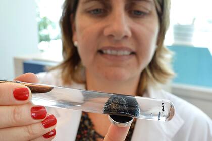 Marina Simian, del Instituto de Nanosistemas de la UnSam