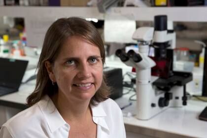 Marina Simian es la actual CEO de Oncoliq, la empresa que desarrolló un kit para detección temprana del cáncer con una muestra de sangre