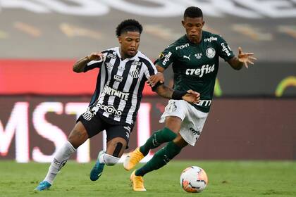 Antes de la coronación de este sábado ante Flamengo, Palmeiras se había consagrado en enero frente a Santos.