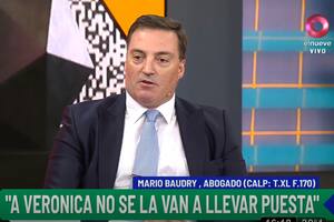 Mario Baudry: "A Diego le borraban las llamadas de Dalma y Giannina"