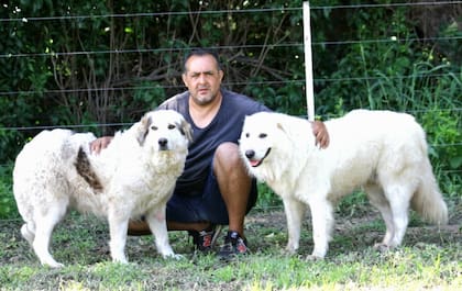 Mario con una Gran Pirineo y un Maremmano