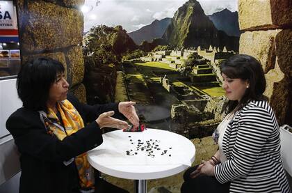 Maritza recibe consultas de políticos y otras personalidades