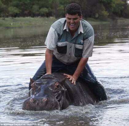 Marius Els adoptó al bebé hipopótamo después de rescatarlo de un río
