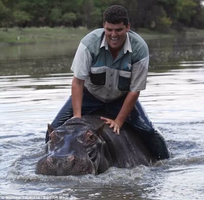Marius Els adoptó al bebé hipopótamo después de rescatarlo de un río