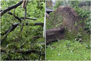 Marley sufrió los destrozos de la tormenta en su casa y mostró cómo quedó todo