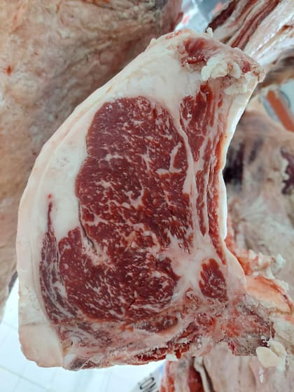 Marmoreo de grasa intramuscular