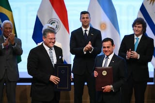 Productos "sensibles" y "salvaguardas", las medidas de protección incluidas en el acuerdo