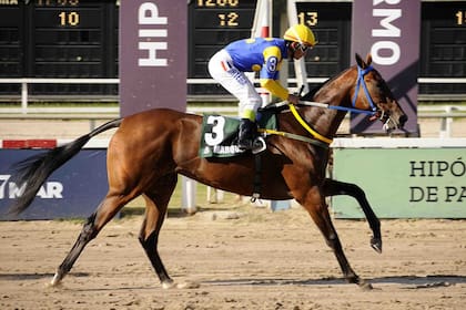 Marquesa Key ganó sus tres carreras en Palermo; llega desde Mar del Plata