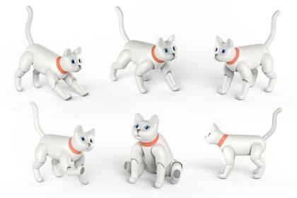 MarsCat está equipado con un RaspBerry Pi 3 y puede realizar diversos movimientos propios de los felinos reales