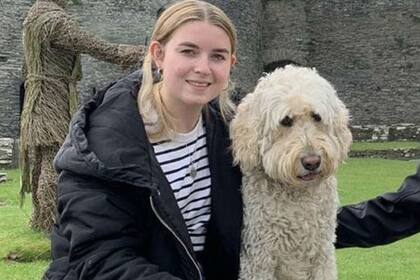 Martha dice que ella "nunca ha conocido a un labradoodle que esté loco"