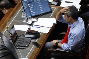 El aumento a los legisladores incomodó a los libertarios y Menem anunció un proyecto para dar marcha atrás