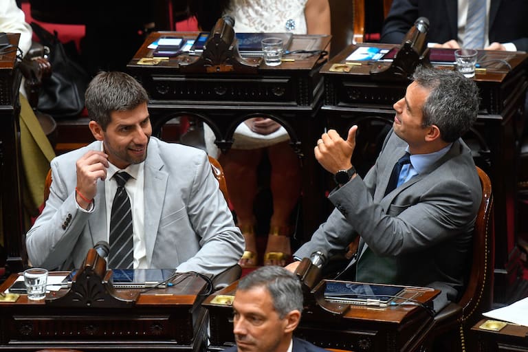 Martín Menem amaga con recortar la dieta de los diputados con el objetivo de “bajar los gastos de la política”