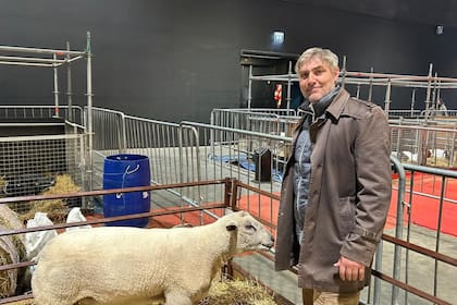Martín Balfour junto a un ejemplar de la raza Charollais