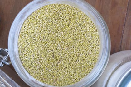 Martín Caparrós retrata la importancia del mijo en África en su libro El hambre.