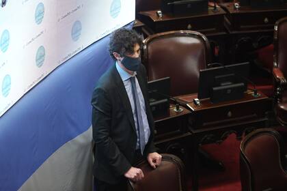 Martín Lousteau durante la sesión especial en el Senado