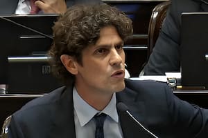 Martín Lousteau, en el Senado