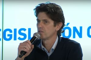 Martín Lousteau en la comisión del Senado