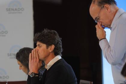 Martín Lousteau, senador por la UCR, en pleno debate en comisiones