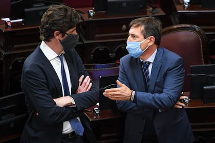 Martín Lousteau y Luis Naidenoff, referentes de la oposición en el Senado