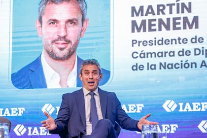 Martín Menem celebró el crecimiento de La Libertad Avanza en Diputados, donde cuenta con 95 legisladores