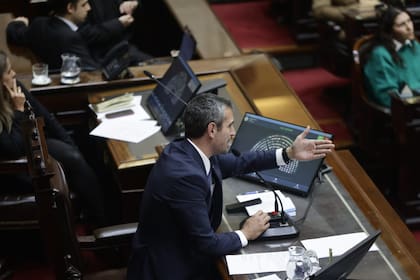 Martín Menem comandará la sesión en la Cámara de Diputados