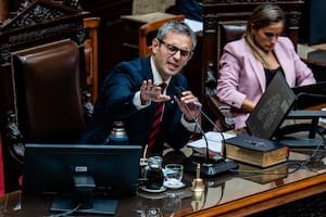 El tenso momento en que Martín Menem le cortó el micrófono al diputado Juliano