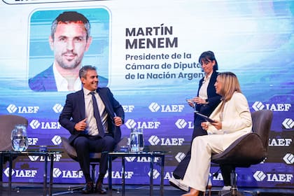Martín Menem pidió endurecer las condiciones para evitar que a las elecciones se inscriban "sellos de goma" montados sobre el "negocio de impresión de boletas"